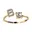 Goud B