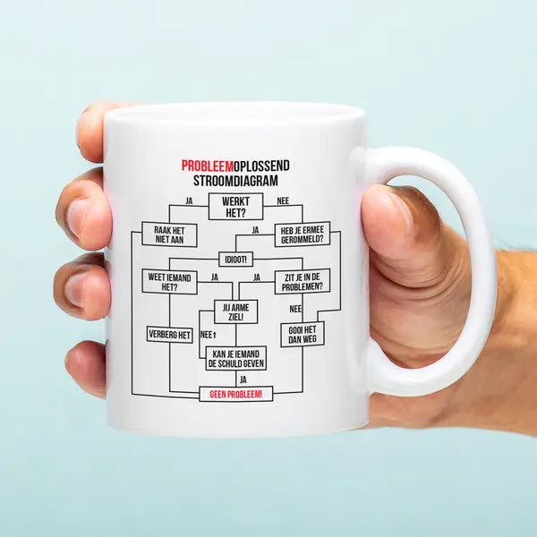 Ditverzinjeniet.nl Mok Probleemoplossend Stroomdiagram thumbnail