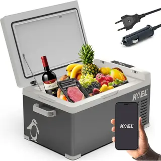 Koel Crate 25 - Compressor Koelbox Elektrisch 12V En 230 Volt Voor Auto - Elektrische Frigobox - Coolbox - 25 Liter