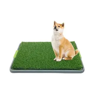 Pawsource Hondentoilet Kunstgras - Geurafstotend - 62 X 49 X 6.6 Cm - Honden Wc Outdoor - Zindelijkheidstraining Hond - Puppy Pads - Dierentoilet