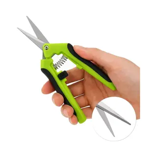 Cheaperito Snoeischaar Recht I Tuin Gereedschap I Tuinieren I Anti Slip Grip I Met Springveer I Bloemenschaar I Fruitschaar I Rvs I Groen