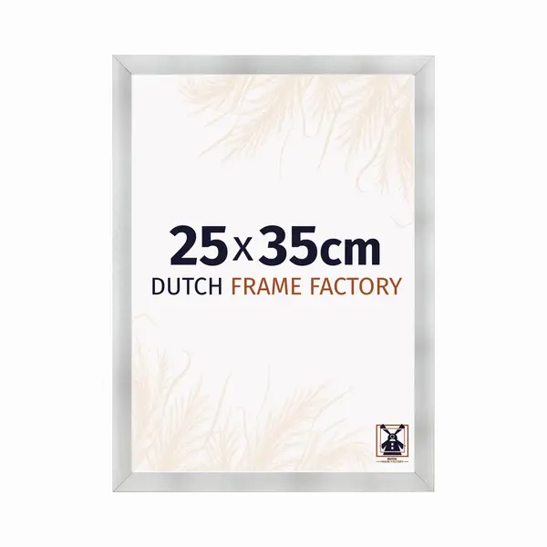 Dutch Frame Factory Fotolijst 25x35 Cm - Mdf - Aluminium Geborsteld - Praag thumbnail