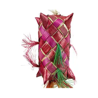 Back Zoo Nature Carnival Pinata