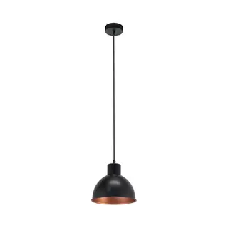 Eglo Truro 1 hangende plafondverlichting Flexibele montage E27
