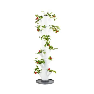 Gusta Garden Sissi Strawberry Classic Outdoor Vertical planter Freestanding Polypropylene (Pp) White