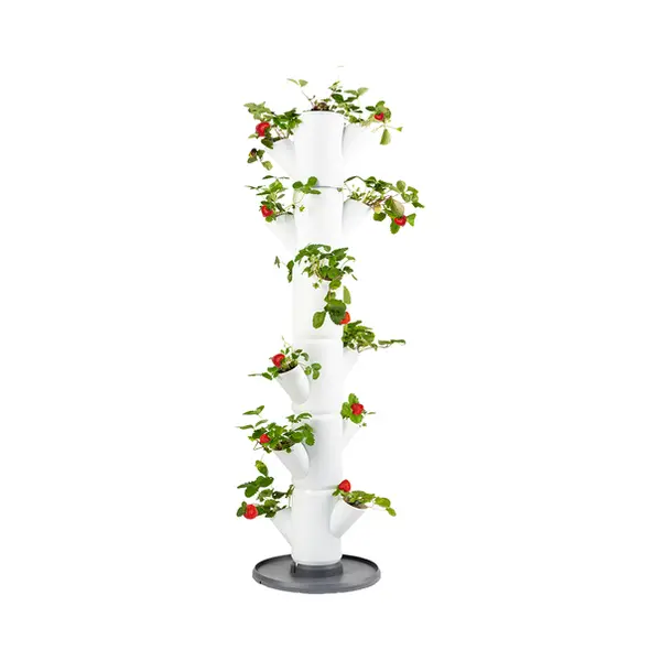 Gusta Garden Sissi Strawberry Classic Outdoor Vertical planter Freestanding Polypropylene (Pp) White thumbnail