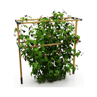 Gusta Garden Berry Buddy Feet
