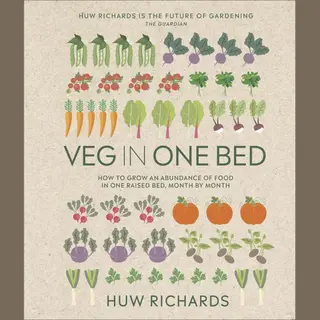Isbn Veg in One Bed Neue Ausgabe Buch Englisch Hardcover 240 Seiten