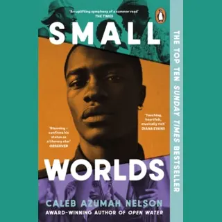 Penguin Books Ltd Small Worlds , The Top Ten Sunday Times Bestseller