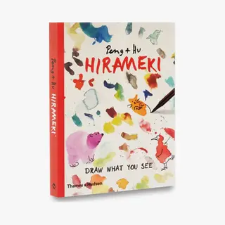 Isbn Hirameki boek Paperback 192 pagina's