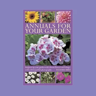 Annuals For Your Garden