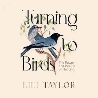 Turning To Birds