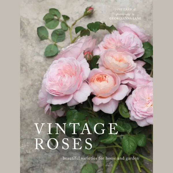 Vintage Roses thumbnail