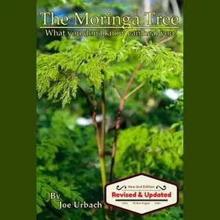 The Moringa Tree