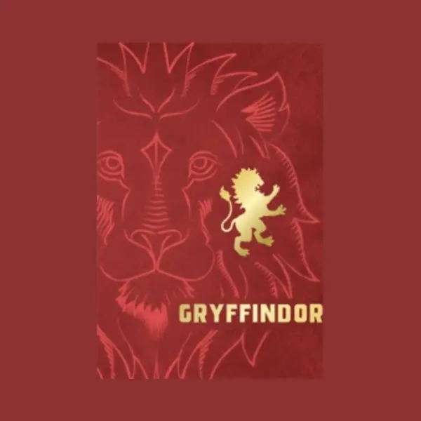 ISBN Harry Potter: Gryffindor (Tiny ) Buch Kunst & Design Englisch Gebunden 192 Seiten thumbnail