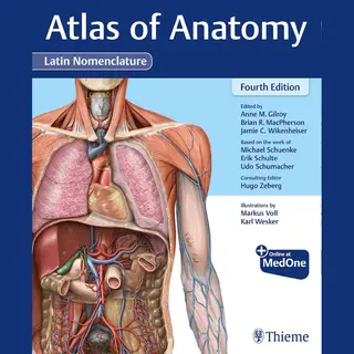 Atlas Of Anatomy, Latin Nomenclature
