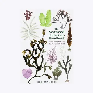 The Seaweed Collector's Handbook