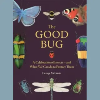 The Good Bug