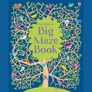 Maze Books- Big Maze Book