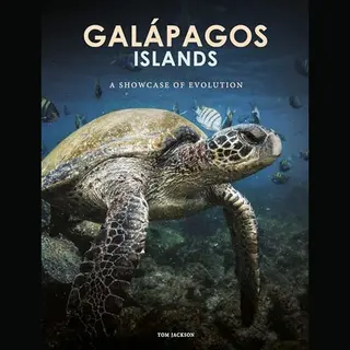 Travel [Portrait Format]- Galapagos Islands