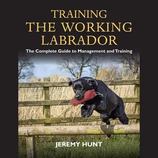 Training The Working Labrador