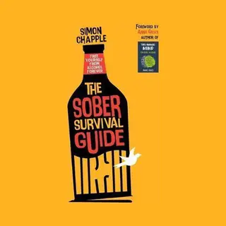 Sober Survival Guide