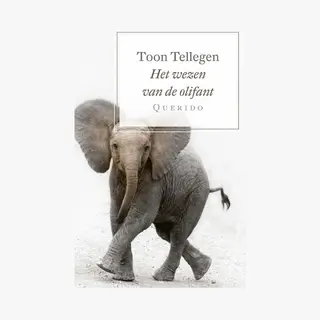 Isbn Het wezen van de olifant