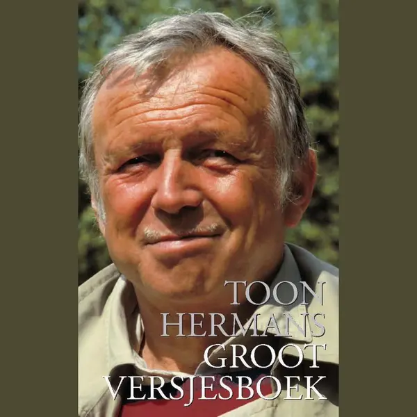 Toon Hermans Groot Versjesboek thumbnail