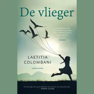 De Vlieger