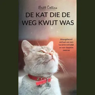 De Kat Die De Weg Kwijt Was