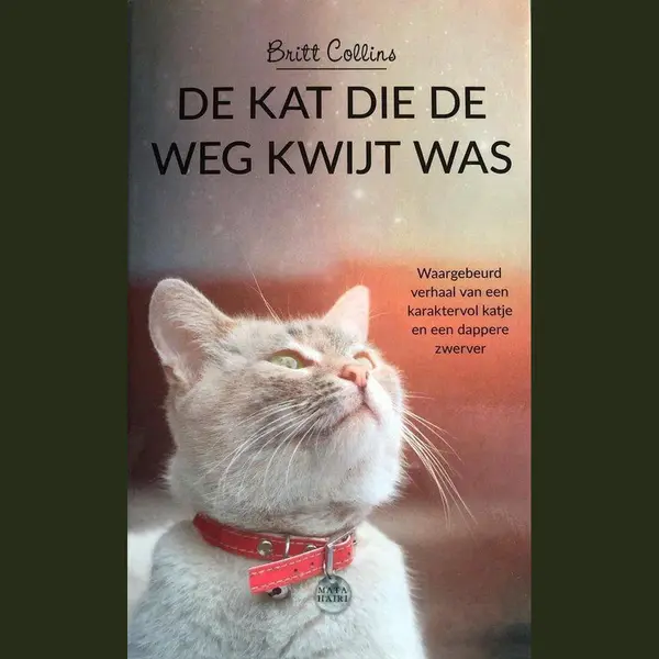 De Kat Die De Weg Kwijt Was thumbnail
