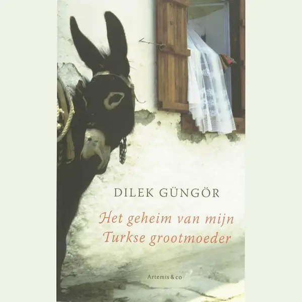 Het Geheim Van Mijn Turkse Grootmoeder thumbnail