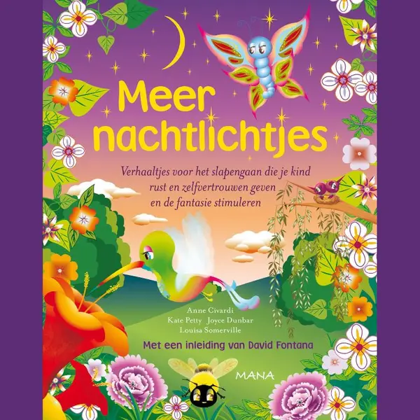 Anne Civardi Meer Nachtlichtjes thumbnail