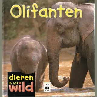 P. Kendell Olifanten / Dieren In Het Wild
