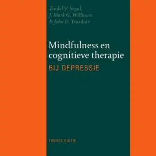 Mindfulness En Cognitieve Therapie Bij Depressie