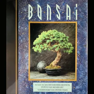Bonsai