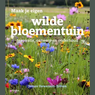 Maak Je Eigen Wildebloementuin