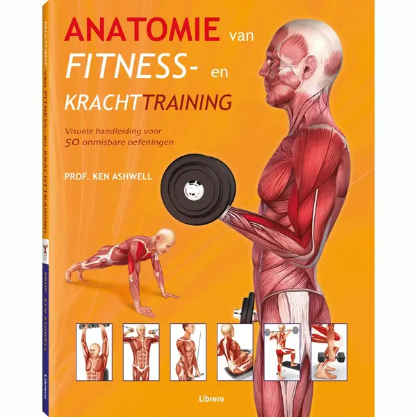 Anatomie Van Fitness- En Krachttraining thumbnail
