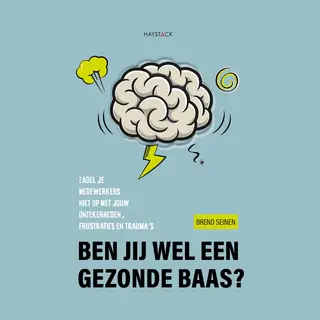 Brend Seinen Ben Jij Wel Een Gezonde Baas?
