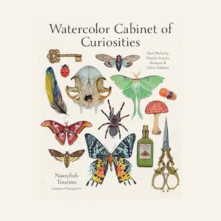 Watercolor Cabinet Of Curiosities