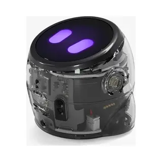 Ozobot Ari Entry Kit - Educatieve Ai Robot