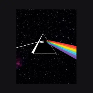 Bertus Distributie Dark Side Of The Moon
