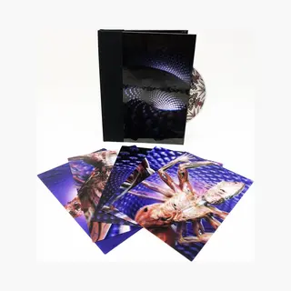 Tool Fear Inoculum Cd Multicolor