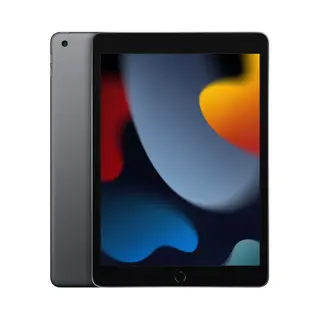 Apple iPad 64 Gb 25,9 cm (10.2") Wi-Fi 5 (802.11ac) iPadOS 15 Grijs