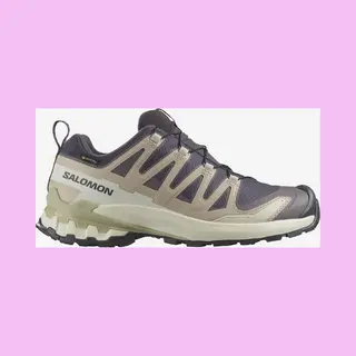 Salomon Women's Xa Pro 3D V9 Gore-tex Sneaker, Nine Iron/Oxford Tan/Alfalfa, 7 Uk