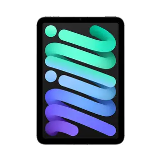Apple iPad mini 5G Td-Lte & Fdd-Lte 256 Gb 21,1 cm (8.3") Wi-Fi 6E (802.11ax) iPadOS 18 Grijs