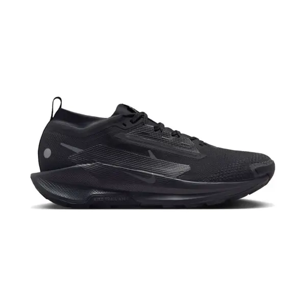 Nike, Mannen, Hardloopschoenen, Pegasus Trail 5 Gore-Tex (44.5), Zwart thumbnail
