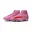 roze - rood - zwart