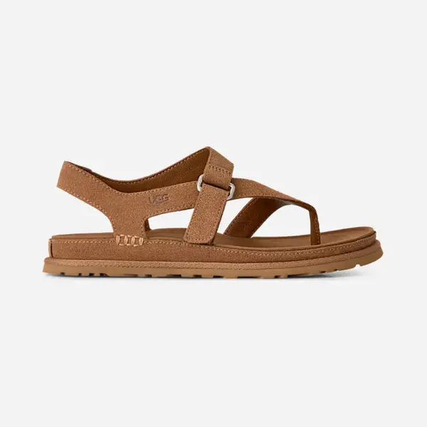 Ugg Women's Goldengaze Toe Post Sandal, Chestnut, 7 thumbnail