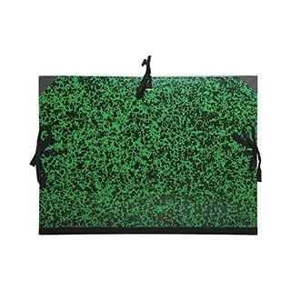 Exacompta 531100E map Doos Groen (240x320) et A4
